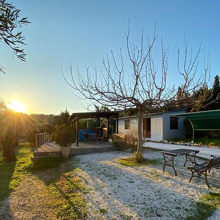 Olive Grove Guest House Anavyssos Exterior photo