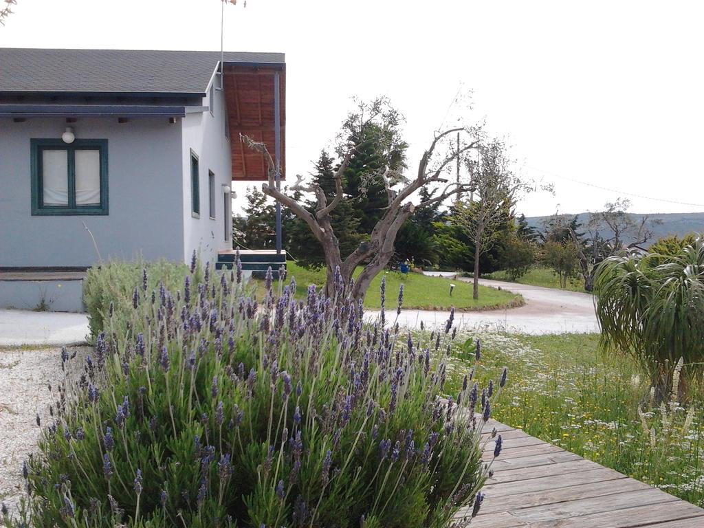 Olive Grove Guest House Anavyssos Exterior photo