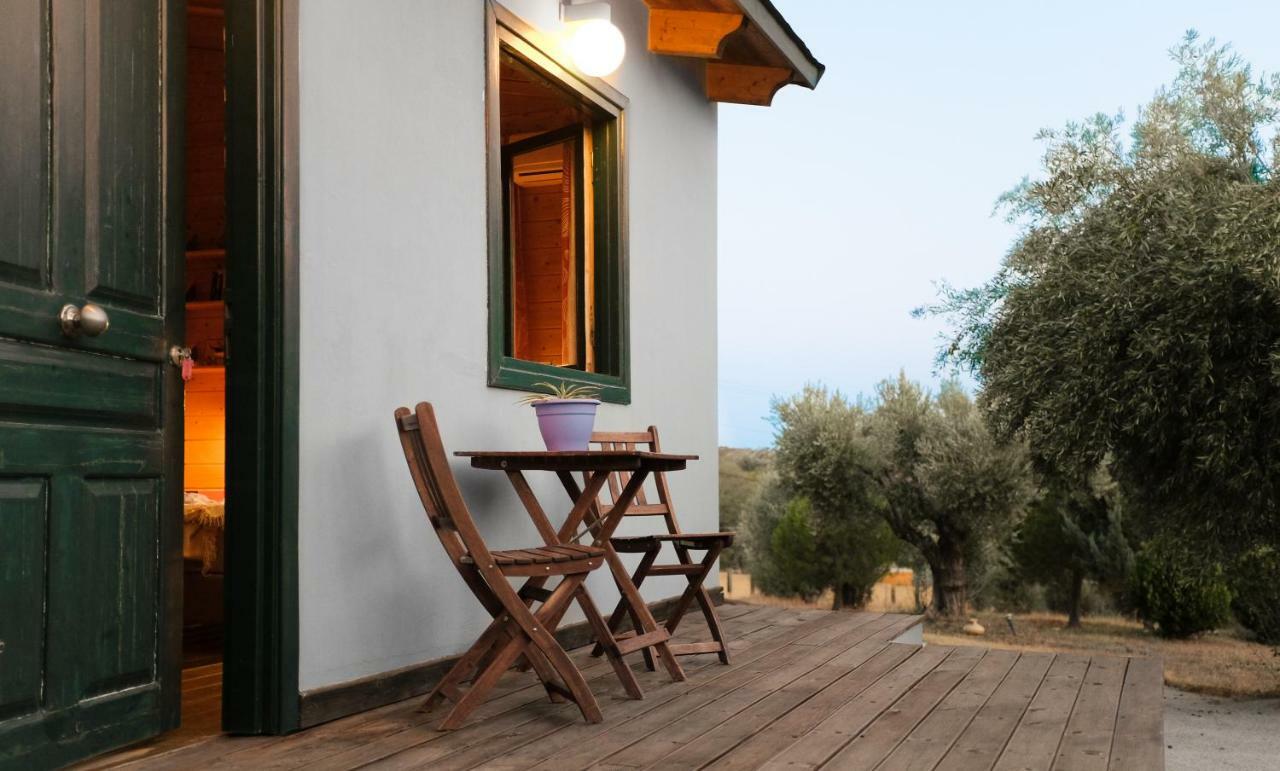 Olive Grove Guest House Anavyssos Exterior photo