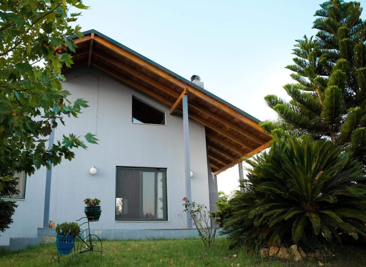 Olive Grove Guest House Anavyssos Exterior photo